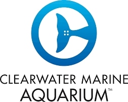 Clearwater Marine Aquarium coupons